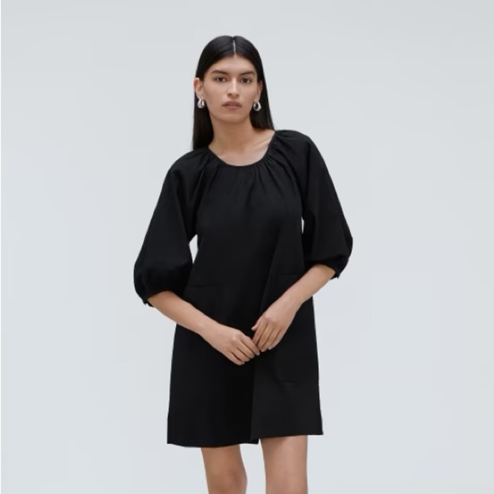 NWT Everlane Puff Sleeve Dress
